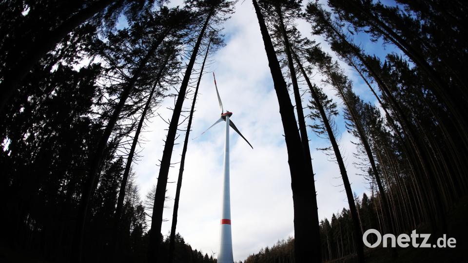 Bei der Energiewende sind mit Blick auf Windräder &quot;alle und jedes Waldgebiet gefragt&quot;, findet Grünen-Bundestagsabgeordneter Anton Hofreiter. Neualbenreuths Bürgermeister Klaus Meyer sieht das anders. Symbolbild: Oliver Berg/dpa
