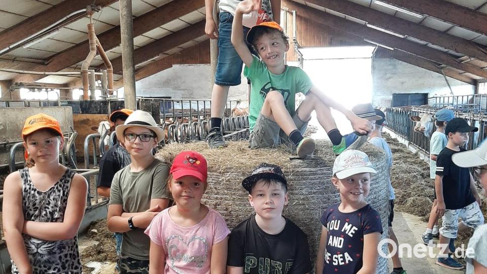 Viel zu erleben gab es für die Schüler der Klassen 3a und 3b der Grundschule Mitterteich auf einem Bauernhof in Erbendorf. Bild: Grundschule Mitterteich/exb