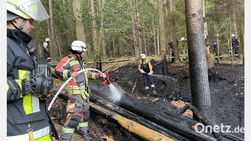 65 Einsatzkräfte bekämpften den Waldbrand am Fuß des Johannisbergs. Bild: egl