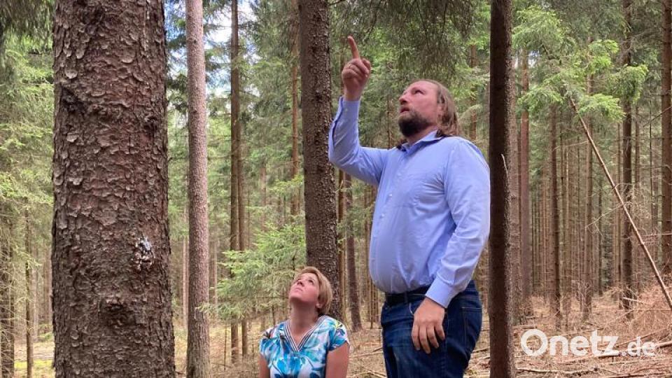 Anna Schwamberger und Anton Hofreiter erkundigen sich im &quot;Egerer Wald&quot; über den Zustand der Wälder. Windenergie war ebenfalls ein Thema. Bild: Andrea Bäuml/exb