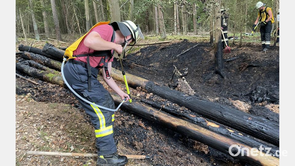 65 Einsatzkräfte bekämpften den Waldbrand am Fuß des Johannisbergs. Bild: egl