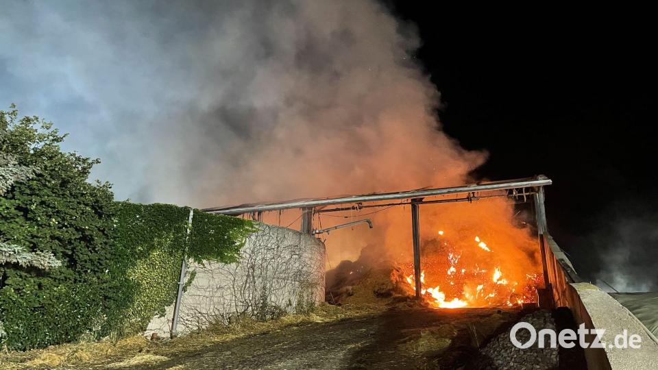 Die Polizei schätzt den Schaden für den Landwirt auf 700.000 Euro. Bild: egl