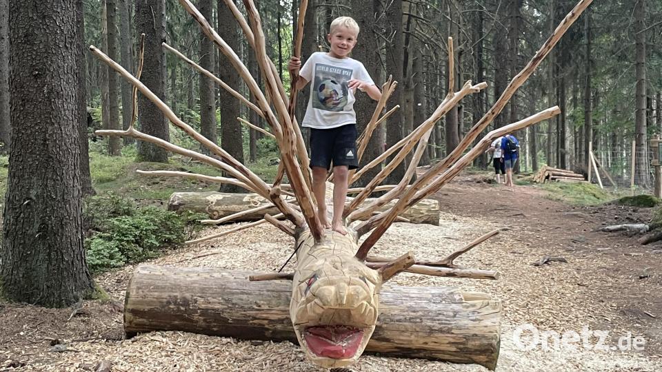 Der Barfußpfad bietet auch einen Stachelbaum. Bild: gis