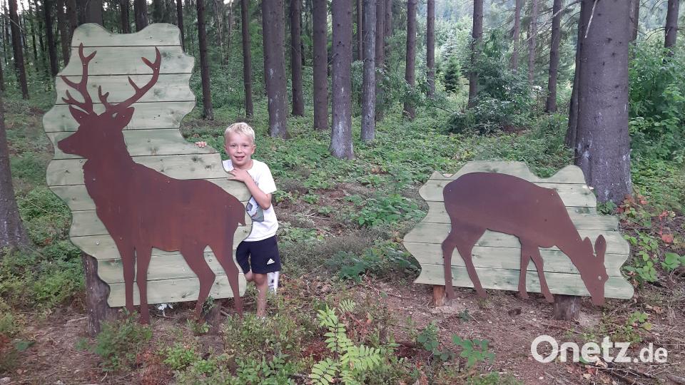 Auch Tiere dürfen nicht fehlen. Bild: gis