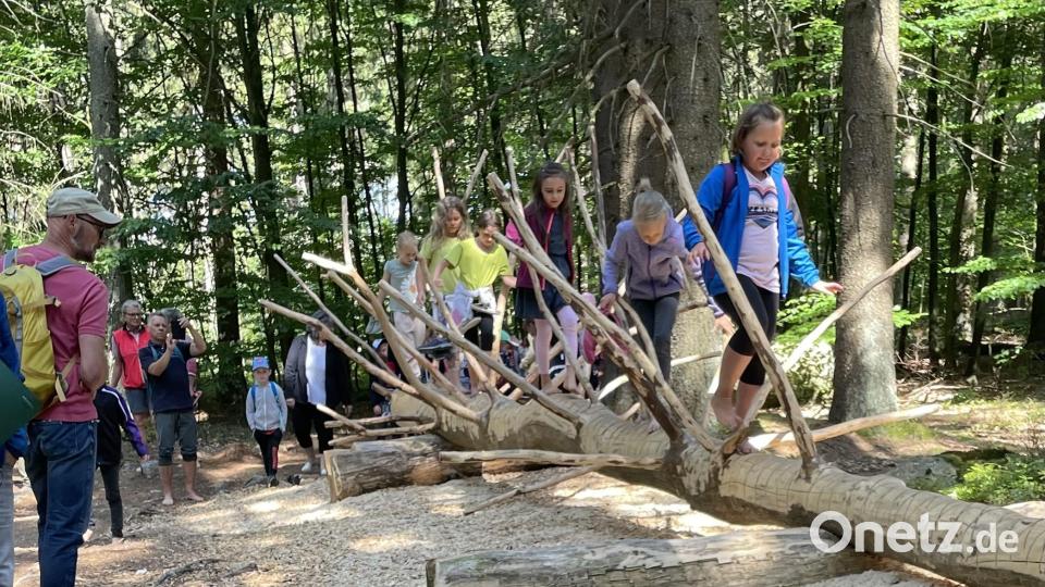 Der Barfußpfad bietet auch einen Stachelbaum. Bild: gis