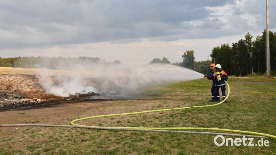 Die Feuerwehranwärter wissen nun, wie sie sich bei einen Feldbrand verhalten müssen. Bild: Angelina Dagner, Feuerwehr Hammerles /exb