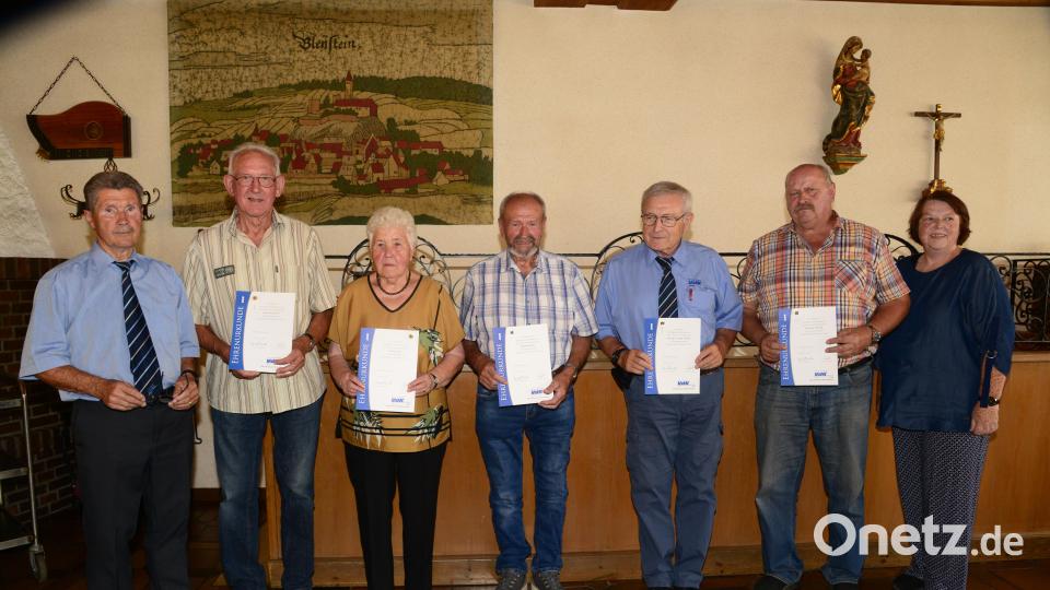 Vorsitzender Josef Rewitzer (links) und Stellvertreterin Christina Neuber (rechts) ehrten die langjährigen Mitglieder Klaus Plachta (50 Jahre), Rita Eckert (30 Jahre), Albert Völkl, Peter Trstan und Michael Neuber (alle 25 Jahre) für ihre Treue zum VdK-Ortsverband. Bild: bey