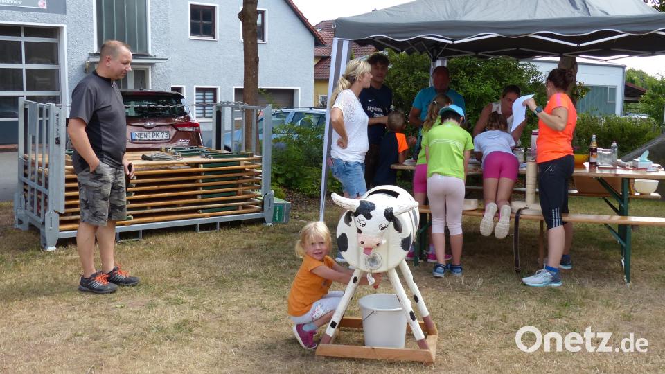 Das Melken kann man schon in jungen Jahren lernen Bild: hme