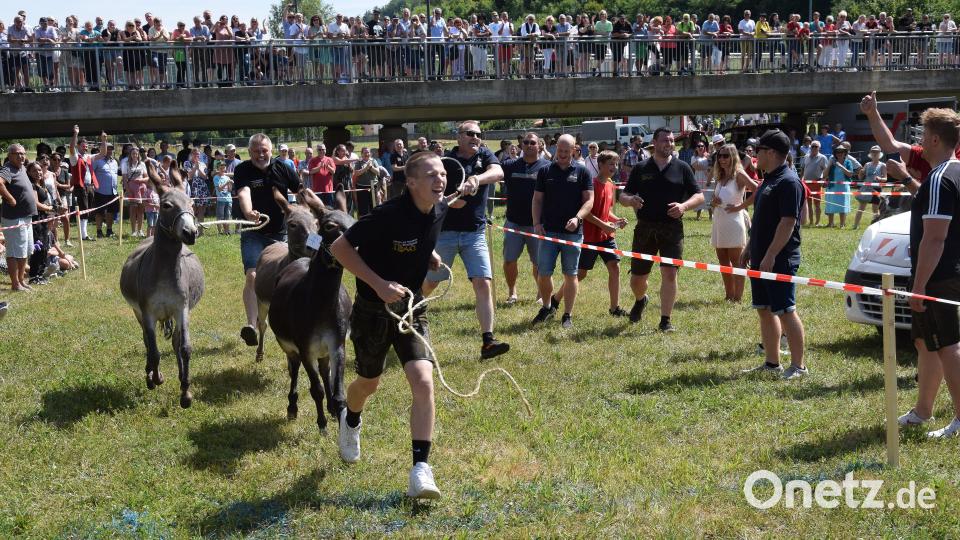 Beim Formel-I-Eselrennen zum Marktfest in Schmidmühlen musste am Ende mancher Treiber seinem Esel noch nachlaufen, obwohl es beim Start wesentlich gemütlicher ausgesehen hatte. Bild: bö