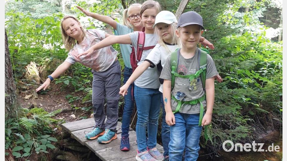 Bei ihrer Erkundungstour im Flötzwald kreuzten die Kinder immer wiedrr den Flötzbach. Bild: mez