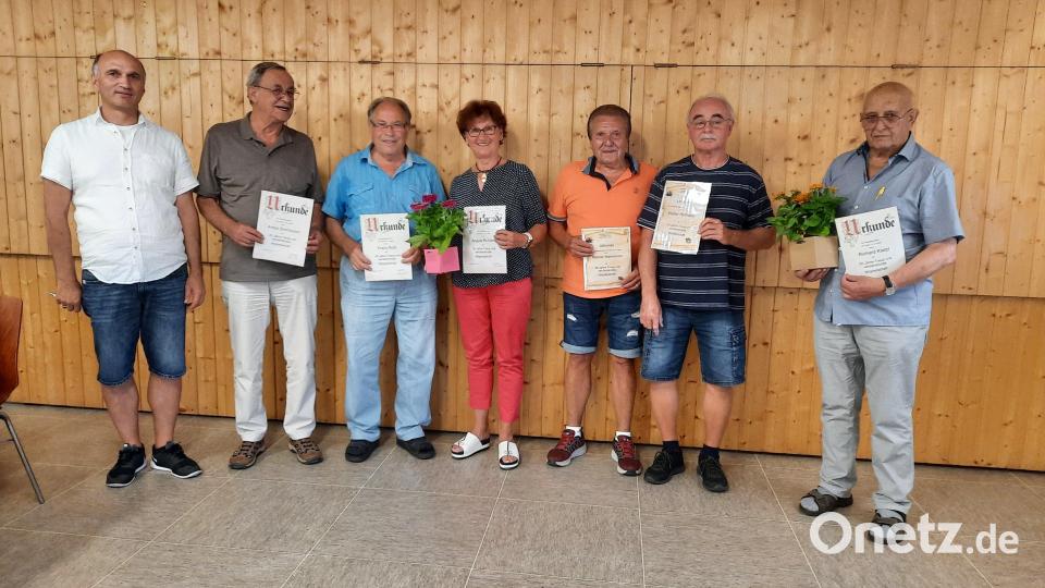 Der Kleingartenverein Am Anger II hat treue Mitglieder geehrt (von links): Johann Piehler, Anton Donhauser, Franz Roth, Angela Ruhland, Rainer Hameister, Walter Hoffmann und Richard Klatzl. Bild: Kleingartenverein Am Anger II/exb