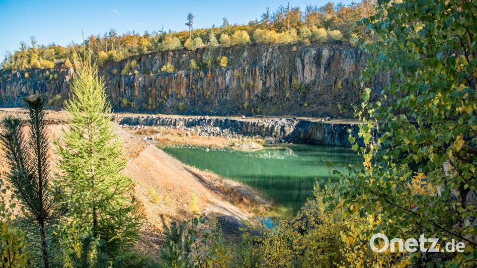 Die Gemeinde Pechbrunn bietet am 5. September eine Exkursion um den Teichelberg an. Archivbild: sds