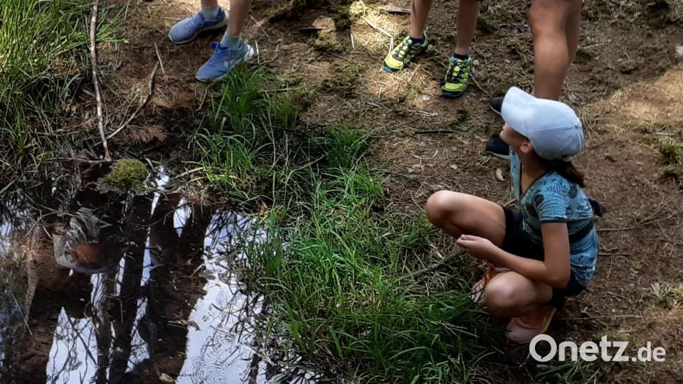 Die Teilnehmer am Ferienprogramm der KAB verbrachten einen erlebnisreichen gelungenen Tag. Am Goldbrunnen waren sie auf der Suche nach "Goldmünzen und Nuggets". Bild: lep