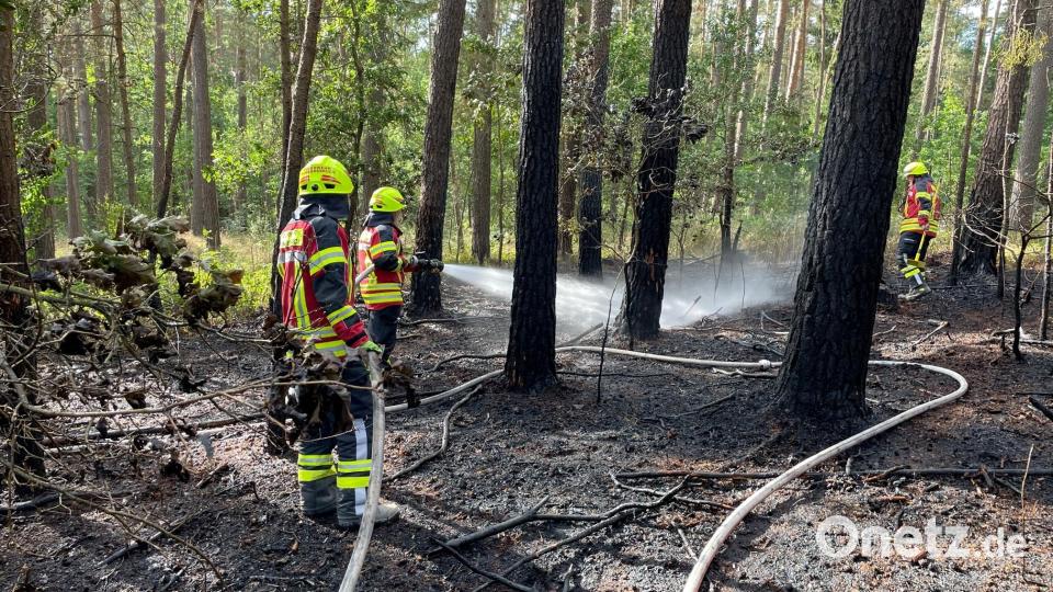 Starker Wind sorgte dafür, dass die Flammen vom Feld aus auch auf einen angrenzenden Wald übergriffen. Bild: egl
