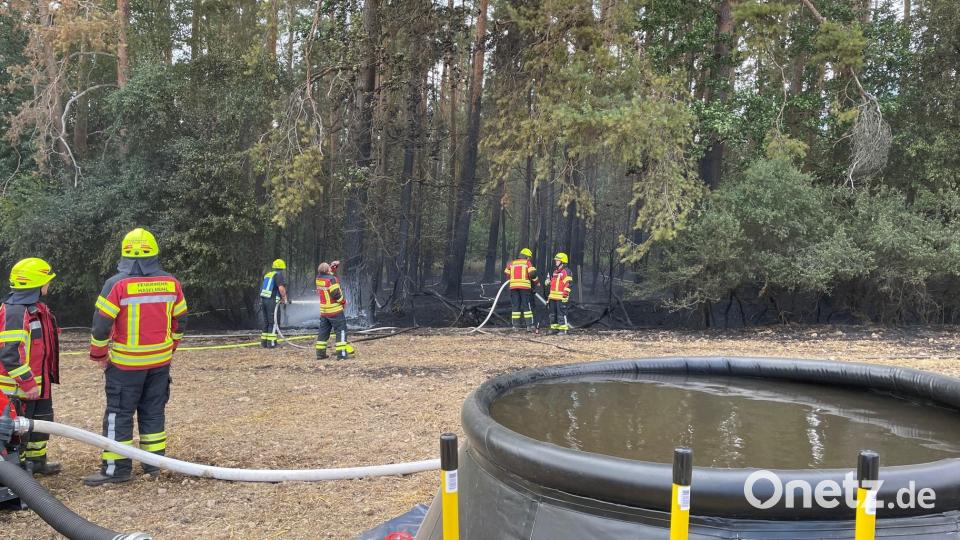Löschwasser in großen Mengen und in unwegsamem Gelände zum Brandort zu schaffen, ist eine Herausforderung bei Flächen- und Waldbränden. Bild: egl