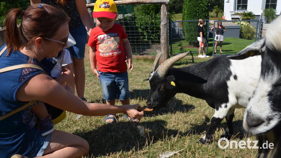 Die Afrikanischen Zwergziegen gingen ganz nah auf Tuchfühlung mit den Kindern und Erwachsenen. Bild: dob