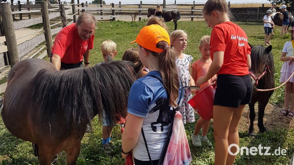 Anziehend auf die Kinder wirkten vor allem die Ponys. Bild: gz