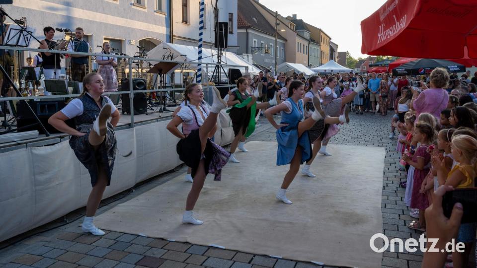 Schier aus dem Häuschen war das Publikum bei den Darbietungen der Prinzengarde der Narrhalla Hirschau. Bild: u