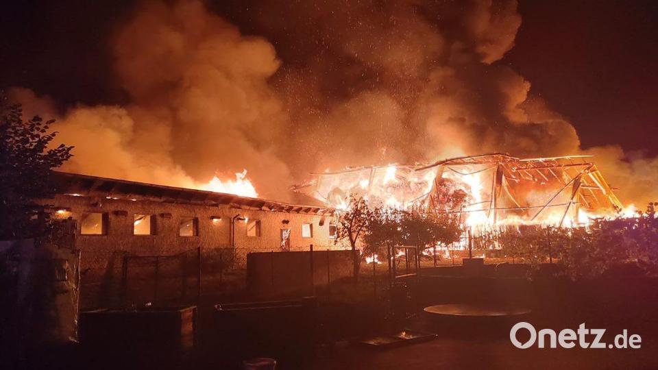 Bei einem Brand in Treffelstein im Landkreis Cham sind laut Polizei 40 Rinder gestorben. Bild: Kreisbrandinspektion Cham