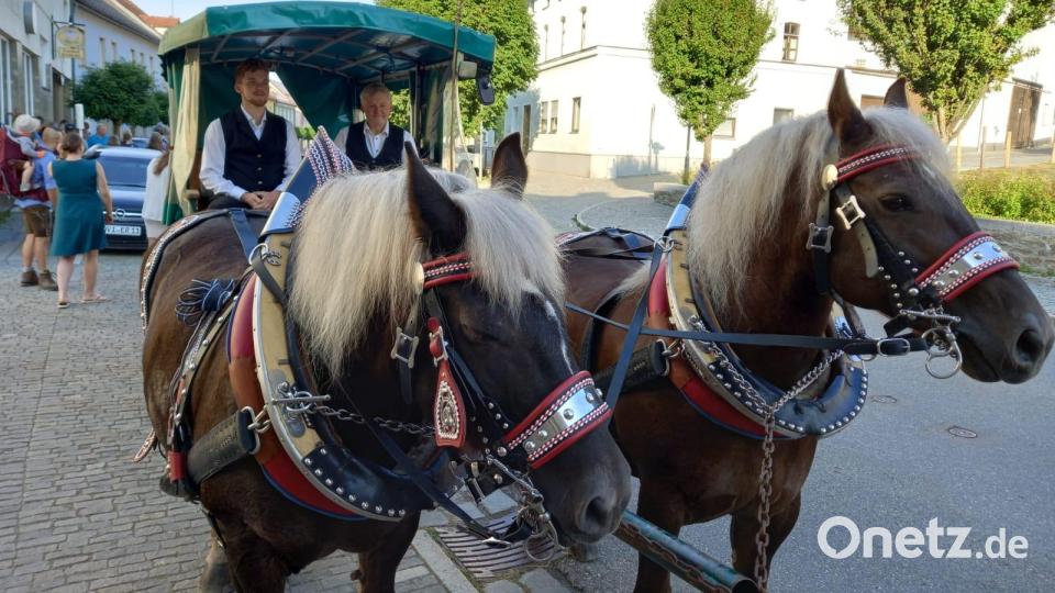 Von Schönsee aus gings in der Pferdekutsche nach Stadlern. Bild: mmj
