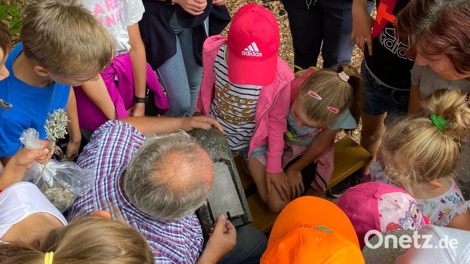 Hans Fröhlich zeigt den Kindern, wie seine Fledermauskästen von innen aussehen. Bild: fla