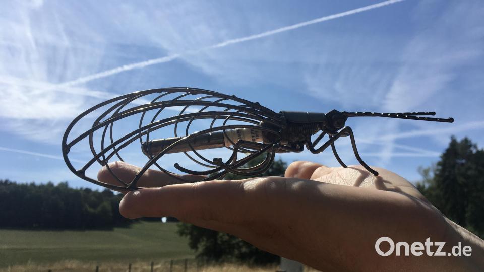 Trophäe zum Titel: Diese handgeschweißte Florfliege symbolisiert den Status &quot;Insektenfreundliche Gemeinde&quot;. Bild: gri