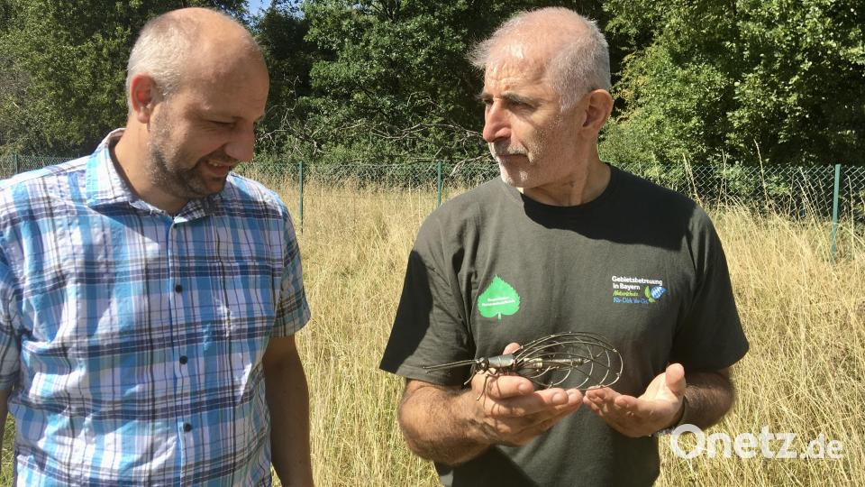 Bauhof-Chef Andreas Bodensteiner (links) und Natur-Fachmann Rudi Leitl. Bild: gri