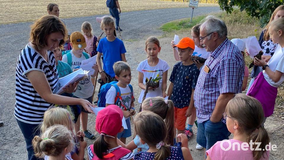 Alle Kinder dürfen bei einem abschließenden Quiz ihr Wissen unter Beweis stellen. Bild: fla