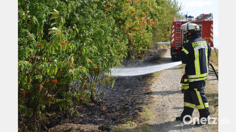 Wieder war die Feuerwehr einmal schneller als das Feuer. Bild: dob