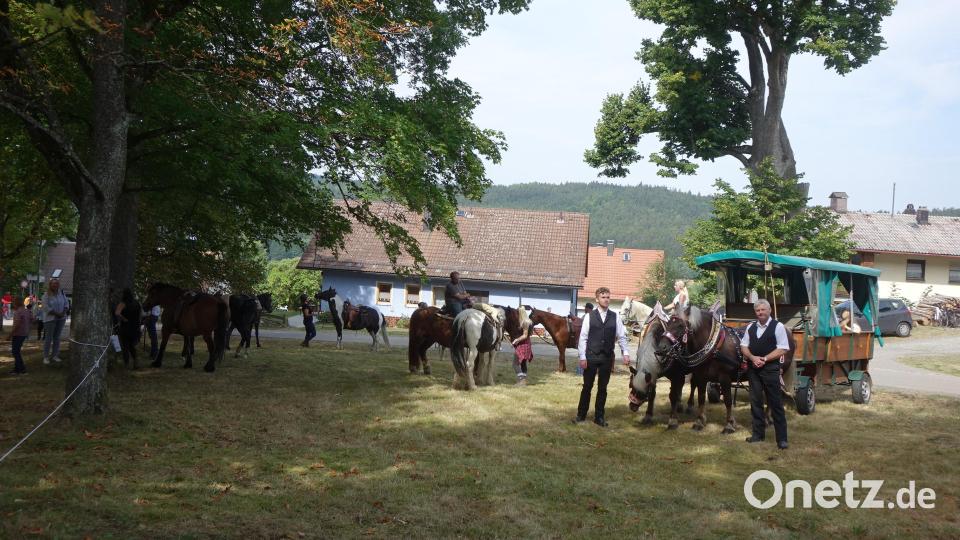 Auch mit Pferden sind Pilger in den Wallfahrtsort gekommen. Bild: mmj