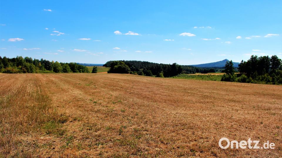 Diese zehn Hektar große Fläche bei Haunritz mit Blick zum Rauhen Kulm dient künftig als Ausgleichsfläche für Baumaßnahmen der Stadt Kemnath. Bild: stg