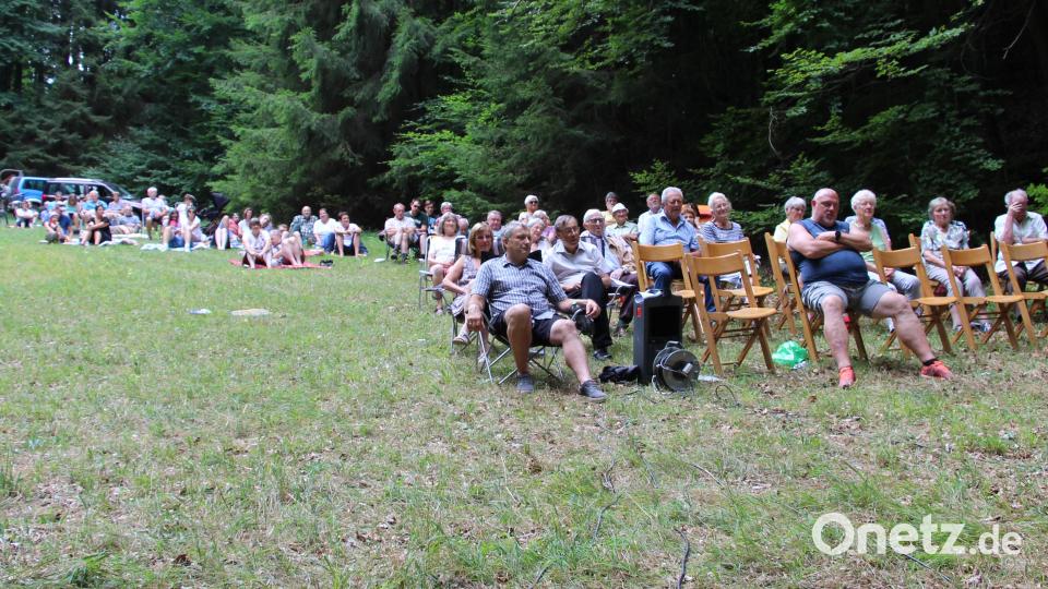 Der Hang der Waldwiese wirkte wie eine Arena für die Zuhörer. Bild: ds