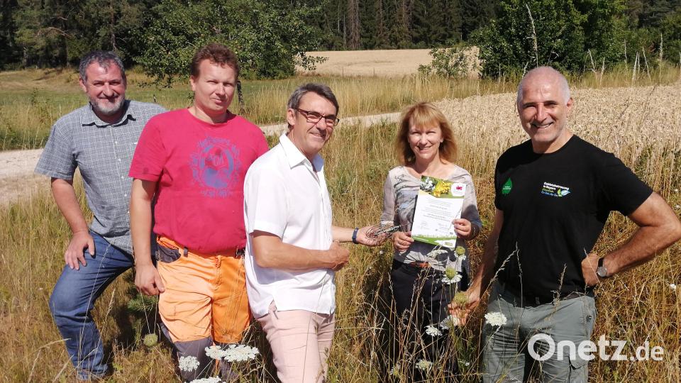 Die Flur bei Aicha bietet die Kulisse für die Auszeichnung der insektenfreundlichen Gemeinde Birgland: (von links) LPV-Geschäftsführer Richard Lehmeier, Bauhofleiter Bernd Kopp, LPV-Projektmanager Martin Sommer, Bürgermeisterin Brigitte Bachmann und Rudolf Leitl, Gebietsbetreuer beim LPV. Bild: dir