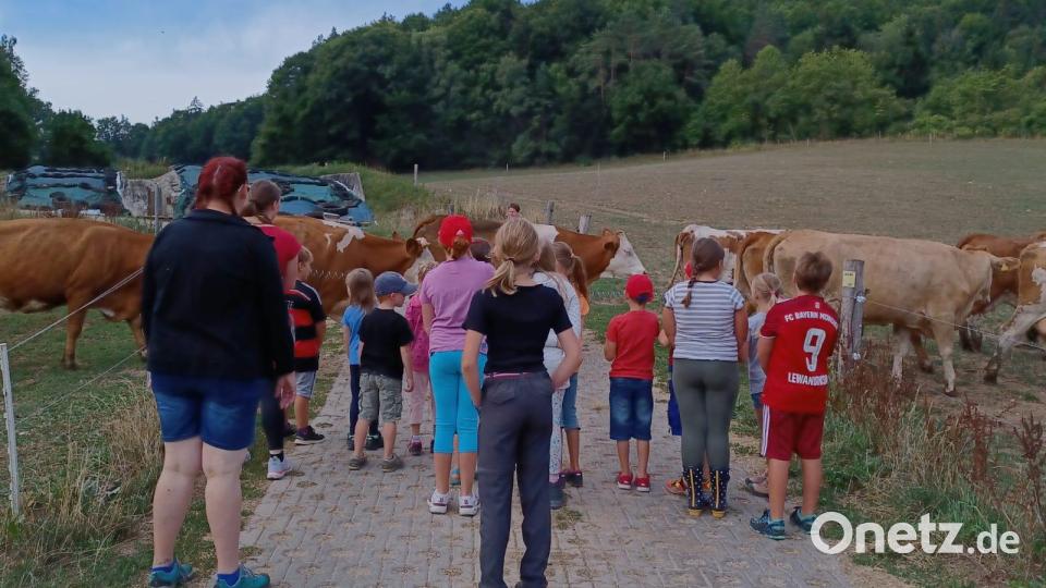 Mit 19 Kinder besuchte der Obst- und Gartenbauverein Eschenfelden in einer Ferienaktion den Wasselbauernhof in Schmidtstadt. Bild: lei