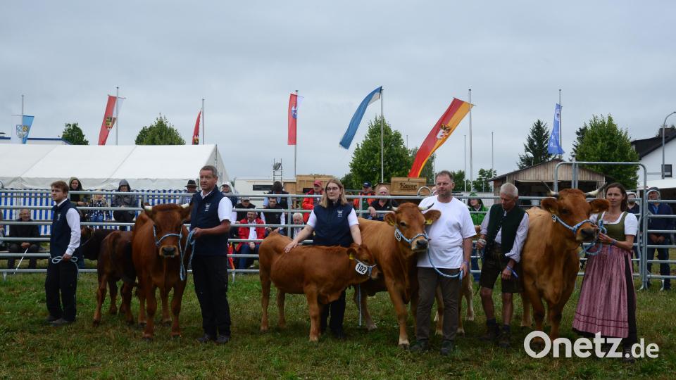 Beim Richtwettbewerb wird verdeutlicht, aus welchem Stall die am besten bewerteten Tiere kommen. Bild: bey