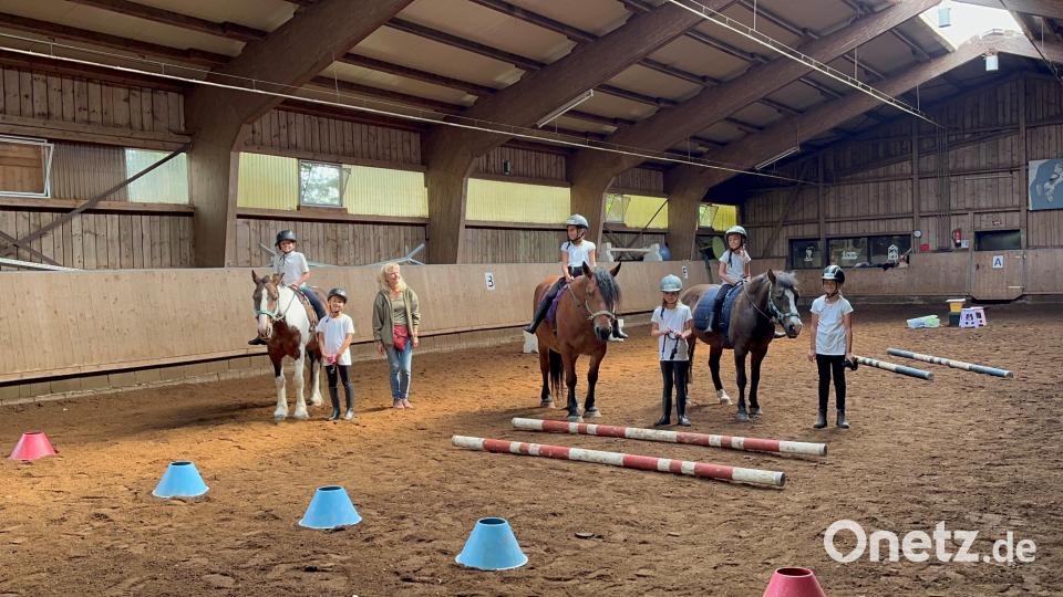 Der Reitverein Tirschenreuth veranstaltete kürzlich sein erstes vereinsinternes Turnier. Bild: Sandra Dietl/exb