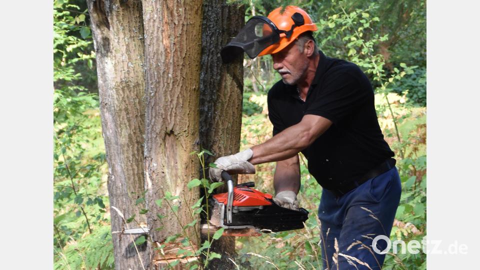 Tierfriedhof- Helfer Klaus Meier fällt einen Baum, der auf das Nachbargrundstück zu fallen drohte. Bild: hcz