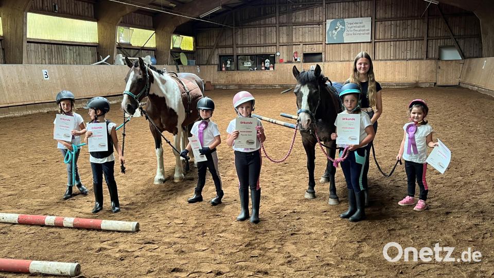 Egal ob die Kleinsten in der Ponybande, im Longenwettbewerb, Dressurtrail über Stangen und Pylonen oder in der reinen Dressurprüfung: Alle Teilnehmer zeigten hervorragende Leistung und wurden im Anschluss mit Schleifen und Urkunden belohnt. Bild: Sandra Dietl/exb