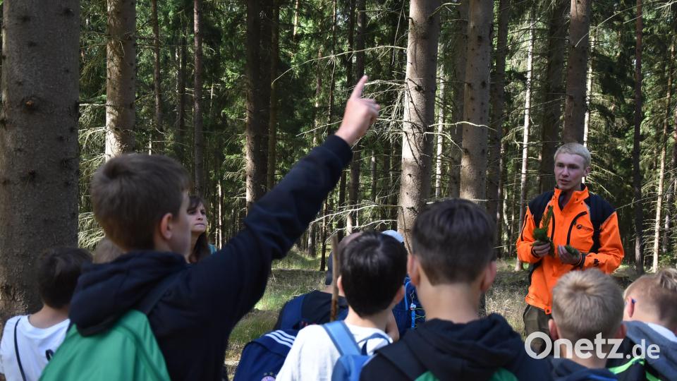 Johannes Beierl bei der Schulklassenführung mit der 6. Jahrgangsstufe der Realschule im Stiftland. Die Schüler informierten sich bei der Waldexkursion zu den verschiedensten Baumarten und zur Borkenkäferproblematik und lernten Zusammenhänge beim Klimaschutz kennen. Bild: Umweltstation Waldsassen/exb