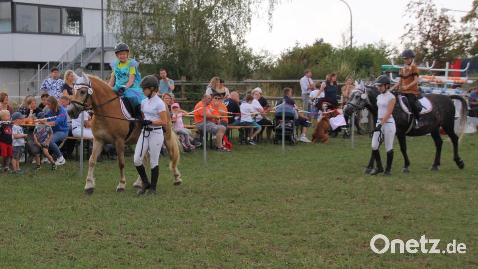 Den meisten Beifall vom Publikum bekamen die Jüngsten 
beim Wettbewerb &quot;Führzügelklasse&quot;, wobei auch das fantasiervolle „Outfit“ bewertet worden ist. Bild: frd