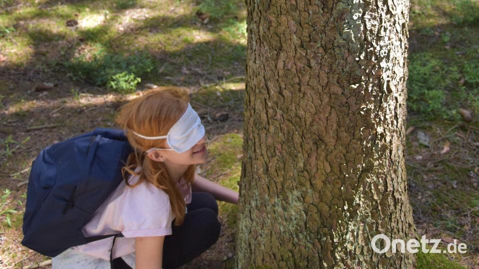 Mit Schülern in den Wald: Pflanzenkunde, Wildtierbiologie und Erlebnisspiele erwartet die Kinder und Jugendlichen bei den Exkursionen am Walderlebnispfad in Waldsassen. Im abgelaufenen Schuljahr waren die Angebote für die Schulklassen kostenlos veranstaltet worden. Bild: Umweltstation Waldsassen/exb
