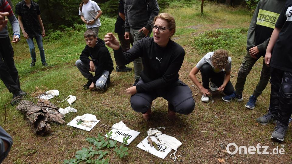 &quot;Im vergangenen Schuljahr konnten wir die Schulklassenangebote im Wald dank der finanziellen Förderung durch das Umweltministerium kostenlos anbieten.&quot; (Karo Wenisch, Natur- und Umweltpädagogin) Bild: Umweltstation Waldsassen/exb