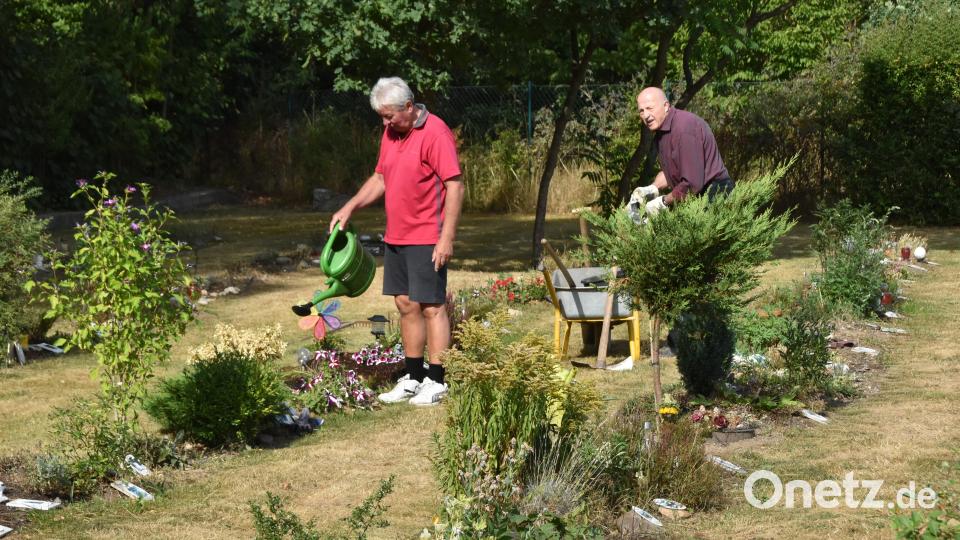 Hans Forster und Josef Gebhardt bei der Pflege der "anonymen Gräber", in denen vorwiegend Tiere aus dem Tierheim ihre letzte Ruhe gefunden haben. Bild: hcz