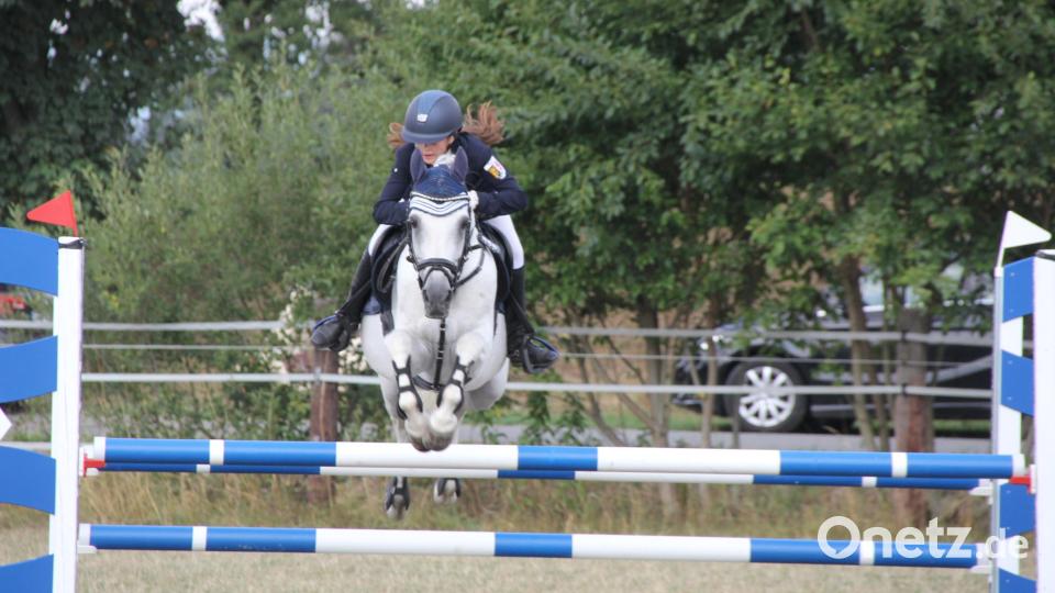 Pferd und Reiter ist bei den Springprüfungen einiges abverlangt worden. Bild: frd