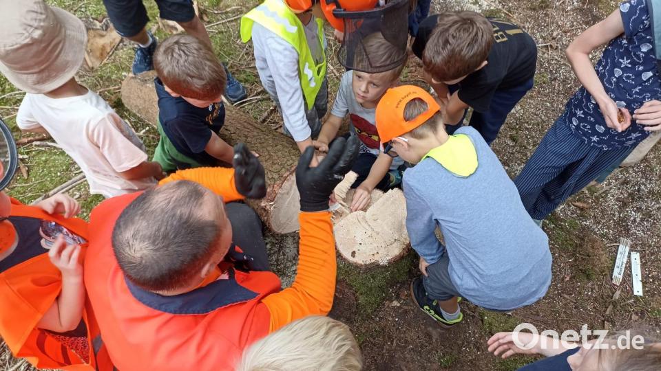 Viele Einblicke in die Waldarbeit erhielten die Mädchen und Buben beim Kinderferienclub Neustadt/WN. Bild: krb