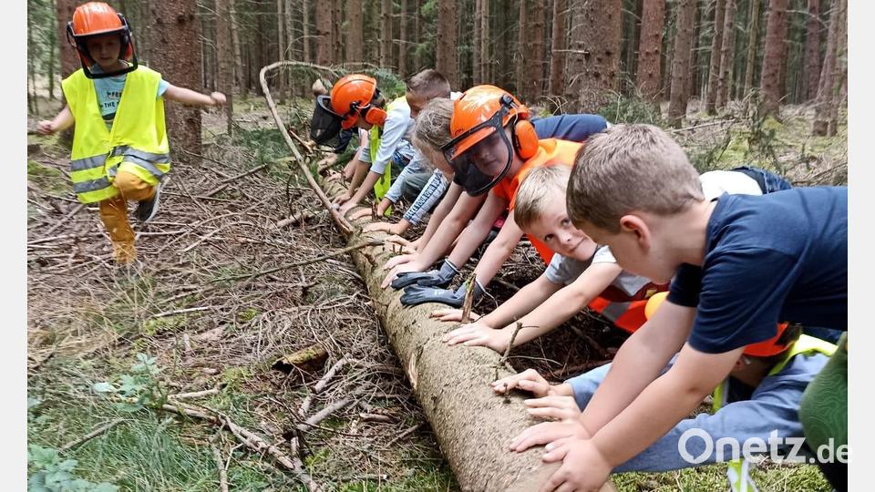 Mit Spaß lernen die Mädchen und Buben beim Kinderferienclub Neustadt/WN die Waldarbeit kennen. Bild: krb