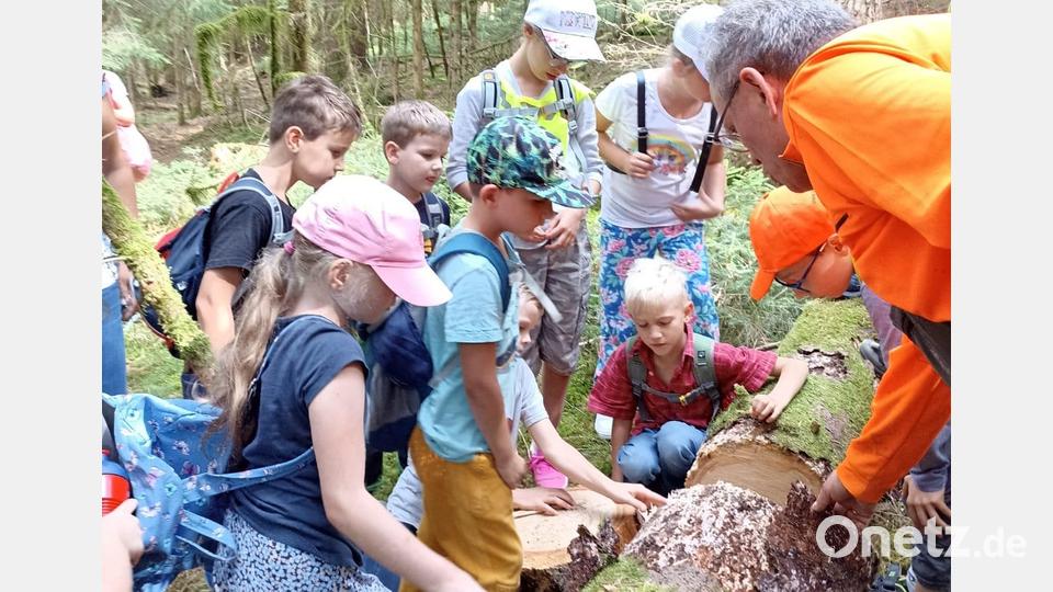 Einblicke in die Waldarbeit erhielten die Mädchen und Buben beim Kinderferienclub Neustadt/WN. Bild: krb