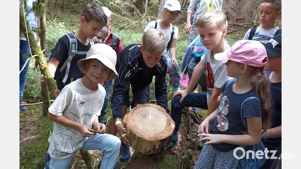 Kinder lernen Waldarbeit beim Kinderferienclub Neustadt/WN kennen. Bild: krb