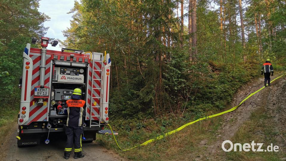 Die &quot;Brandstelle&quot; lag rund 100 Meter abseits des Waldweges. Hier galt es zudem rund 30 Höhenmeter für die Übungsteilnehmer der Feuerwehr Kemnath zu überwinden. Bild: mde