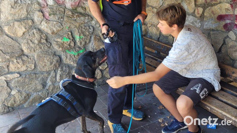 Bernhard Meyerhofer (Polizei Regensburg) und Sesto finden Testperson Lukas Bild: Zentrale Einsatzdienste Regensburg